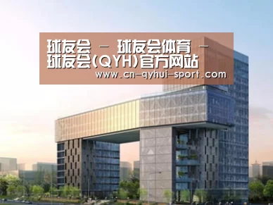 案例展示四